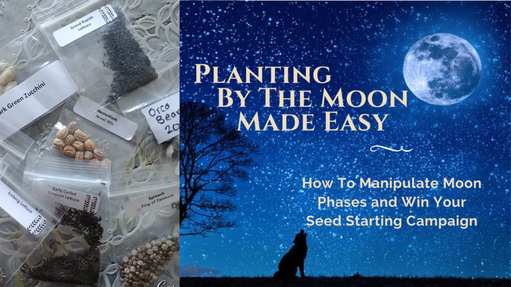 Planting By The Moon Made Easy Garden How To